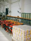 Estándar internacional de la palanca de 5 toneladas del alzamiento de cadena tamaño manual de la polea del mini