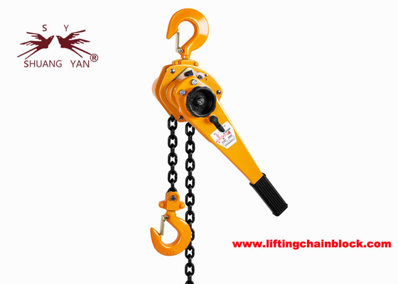 Polipasto de cadena de palanca de velocidad de elevación manual con ganchos superior e inferior y color de cadena pulida